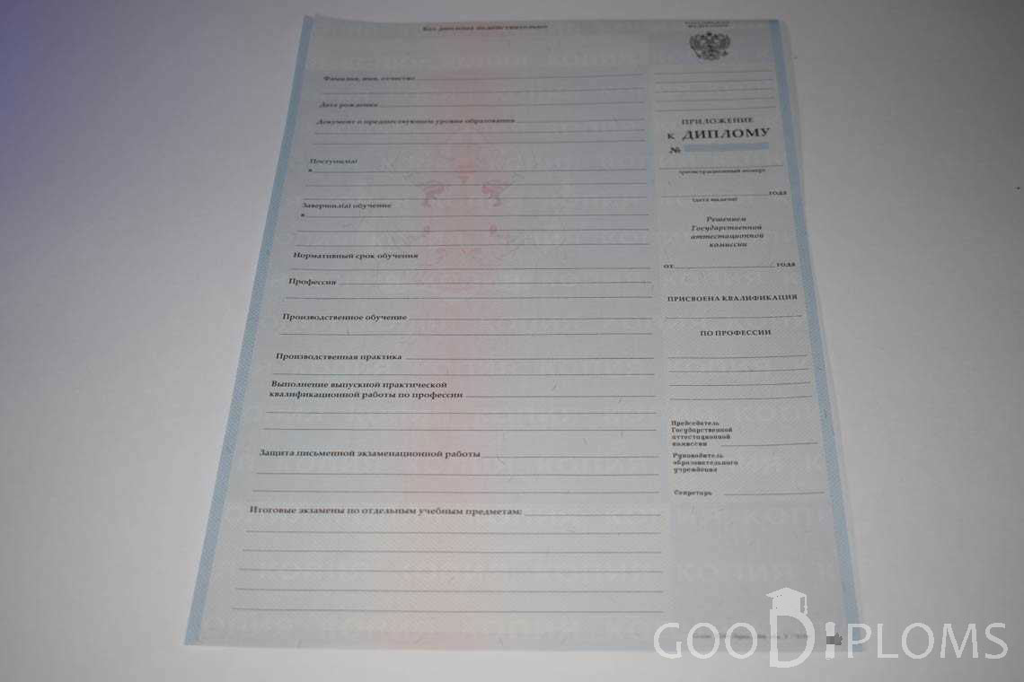 Приложение к Диплому Училища период выдачи 2007-2010  -  Пинск
