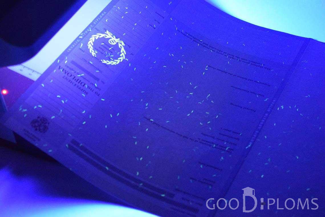 Приложение к Диплому Для Иностранных Граждан в Ультрафиолете - Пинск