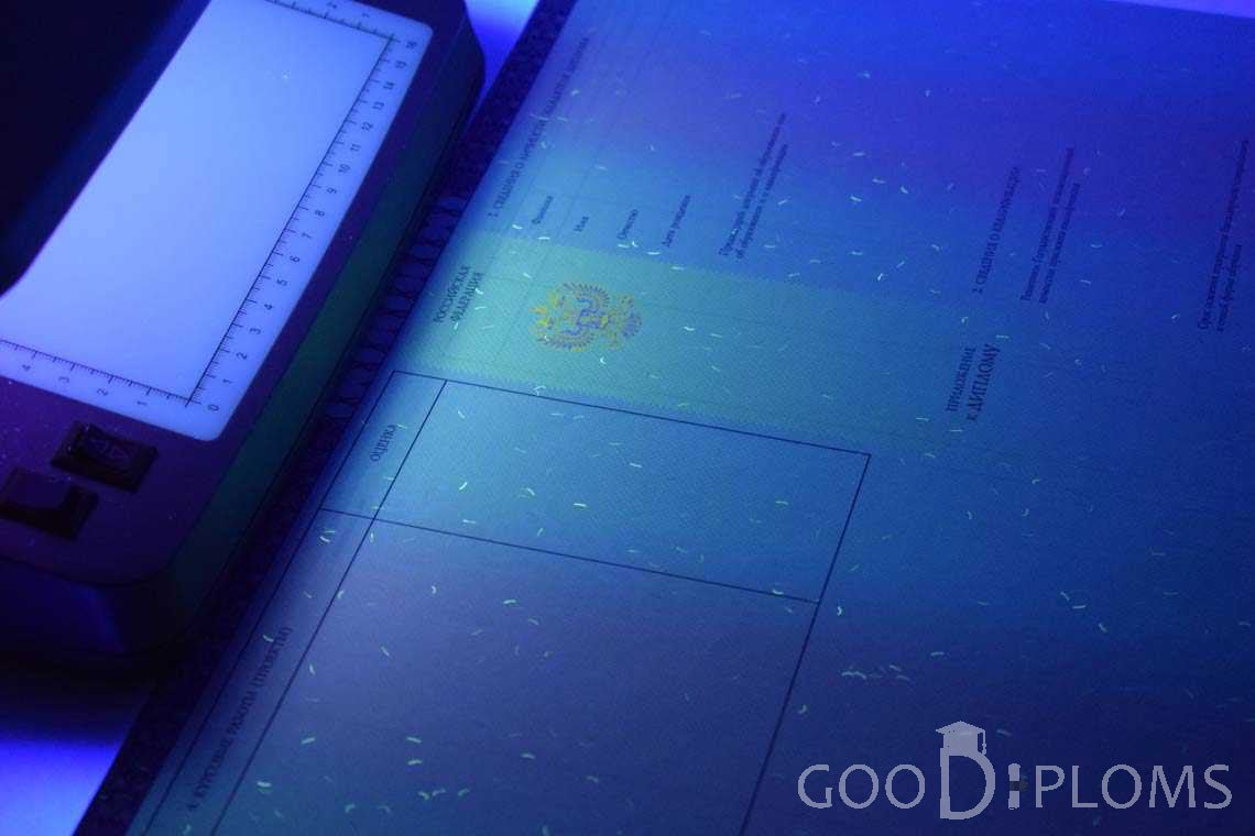 Приложение к Диплому о Высшем Образовании с Отличием в Ультрафиолете - Пинск